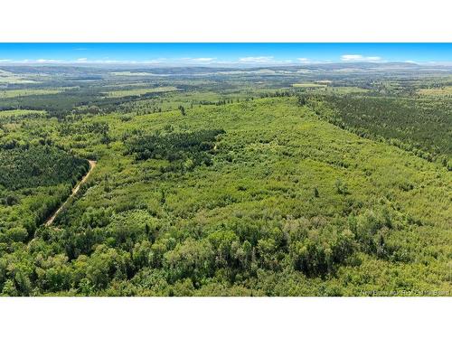 62 Lewiston Rd, Cornhill, NB - Outdoor With View