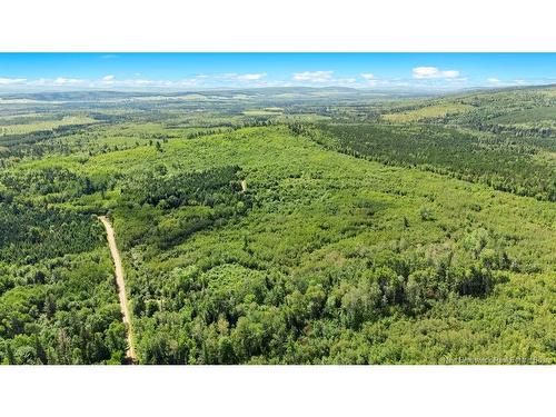 62 Lewiston Rd, Cornhill, NB - Outdoor With View