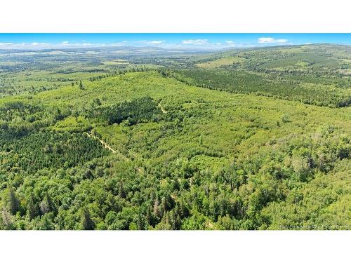 62 Lewiston Rd, Cornhill, NB - Outdoor With View