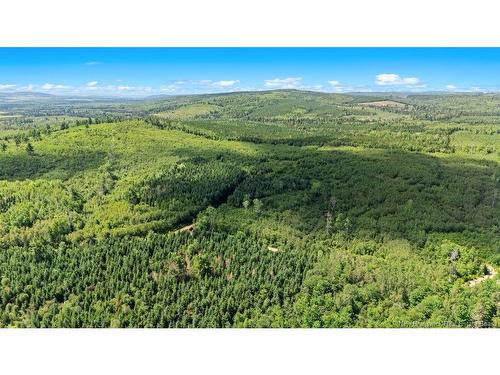 62 Lewiston Rd, Cornhill, NB - Outdoor With View