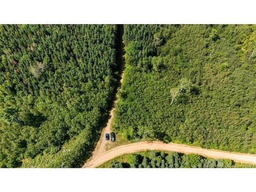 62 Lewiston Rd, Cornhill, NB - Outdoor