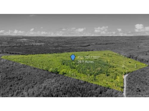 62 Lewiston Rd, Cornhill, NB - Outdoor With View