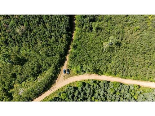 62 Lewiston Rd, Cornhill, NB - Outdoor