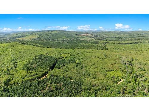 62 Lewiston Rd, Cornhill, NB - Outdoor With View