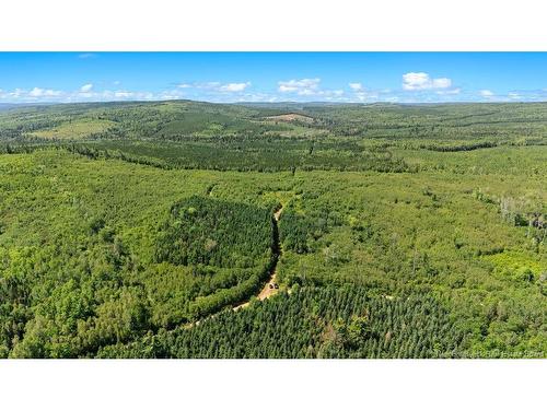 62 Lewiston Rd, Cornhill, NB - Outdoor With View