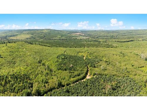 62 Lewiston Rd, Cornhill, NB - Outdoor With View