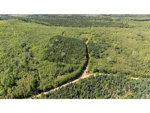 62 Lewiston Rd, Cornhill, NB - Outdoor With View