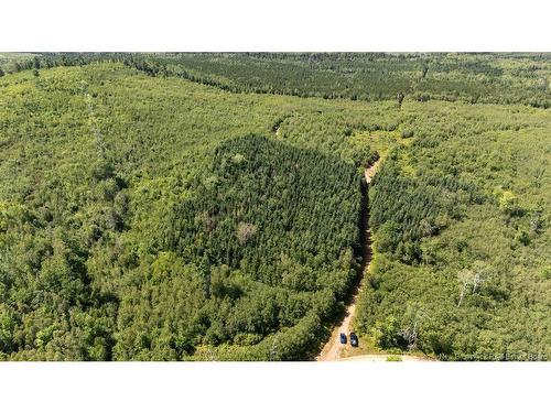 62 Lewiston Rd, Cornhill, NB - Outdoor With View