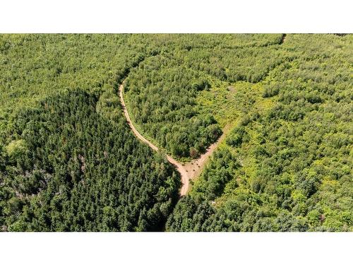 62 Lewiston Rd, Cornhill, NB - Outdoor With View