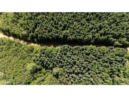 62 Lewiston Rd, Cornhill, NB - Outdoor