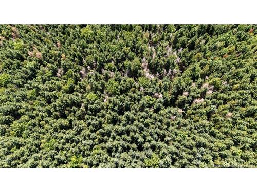 62 Lewiston Rd, Cornhill, NB - Outdoor