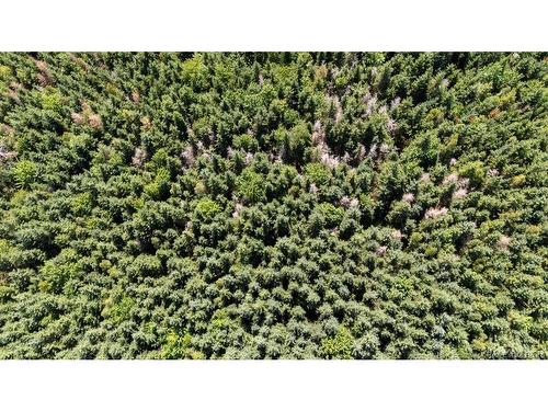 62 Lewiston Rd, Cornhill, NB - Outdoor