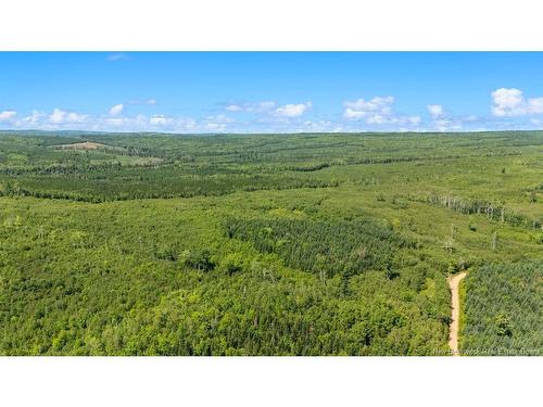 62 Lewiston Rd, Cornhill, NB - Outdoor With View