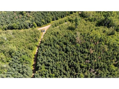 62 Lewiston Rd, Cornhill, NB - Outdoor With View
