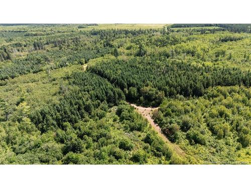 62 Lewiston Rd, Cornhill, NB - Outdoor With View