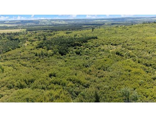 62 Lewiston Rd, Cornhill, NB - Outdoor With View