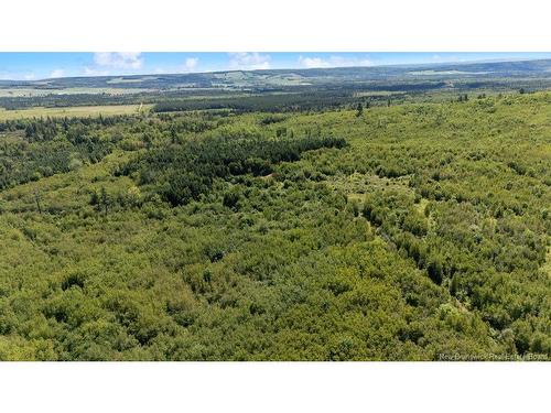 62 Lewiston Rd, Cornhill, NB - Outdoor With View