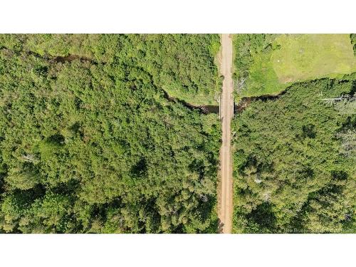 62 Lewiston Rd, Cornhill, NB - Outdoor With View