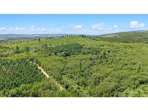 62 Lewiston Rd, Cornhill, NB - Outdoor With View