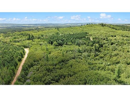 62 Lewiston Rd, Cornhill, NB - Outdoor With View