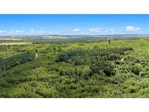 62 Lewiston Rd, Cornhill, NB - Outdoor With View