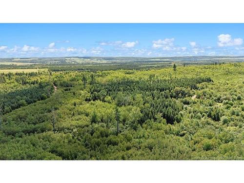 62 Lewiston Rd, Cornhill, NB - Outdoor With View