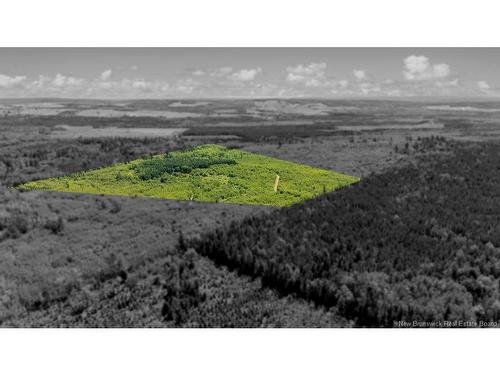 62 Lewiston Rd, Cornhill, NB - Outdoor With View