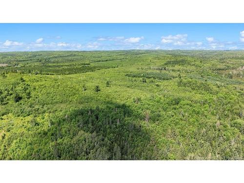 62 Lewiston Rd, Cornhill, NB - Outdoor With View