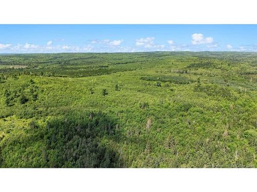 62 Lewiston Rd, Cornhill, NB - Outdoor With View