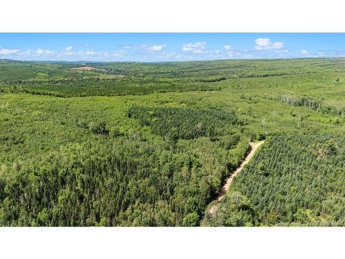 62 Lewiston Rd, Cornhill, NB - Outdoor With View