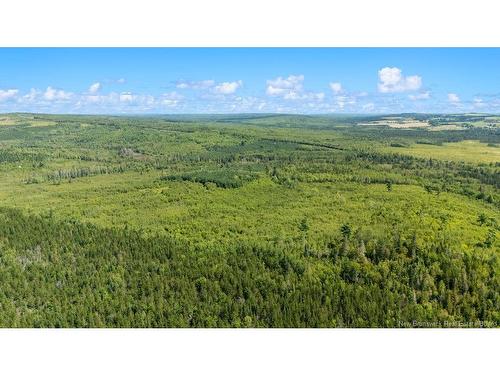 62 Lewiston Rd, Cornhill, NB - Outdoor With View