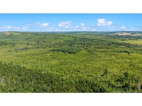 62 Lewiston Rd, Cornhill, NB - Outdoor With View