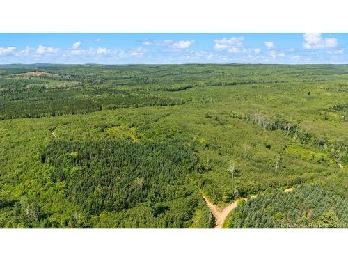 62 Lewiston Rd, Cornhill, NB - Outdoor With View