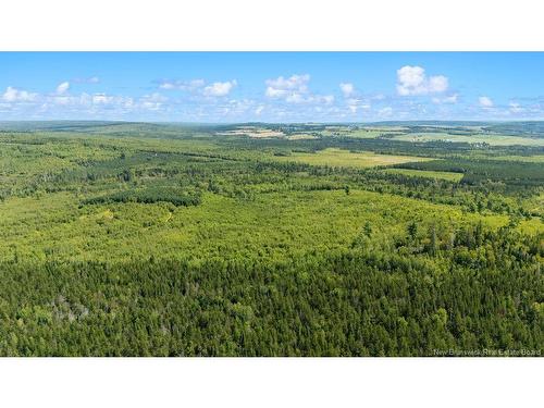 62 Lewiston Rd, Cornhill, NB - Outdoor With View