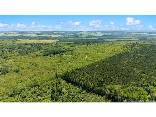62 Lewiston Rd, Cornhill, NB - Outdoor With View