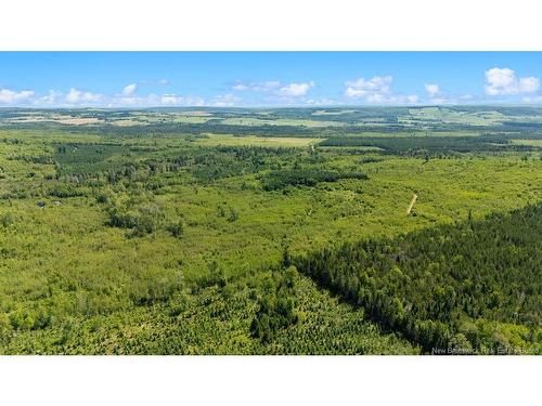 62 Lewiston Rd, Cornhill, NB - Outdoor With View
