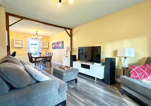 127 Lansdowne Ave, Winnipeg, MB - Indoor Photo Showing Living Room