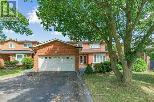 256 AIRDRIE DRIVE  Vaughan, ON L4L 1C6