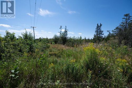 1707 County Road 2, Prince Edward County (Hillier Ward), ON 