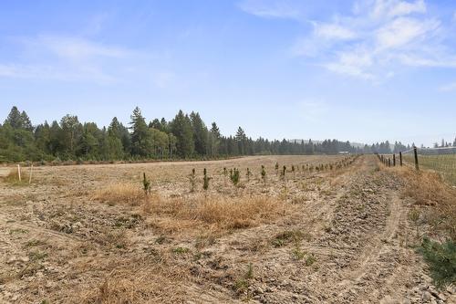 1889 7Th Street, Lister, BC - Outdoor With View