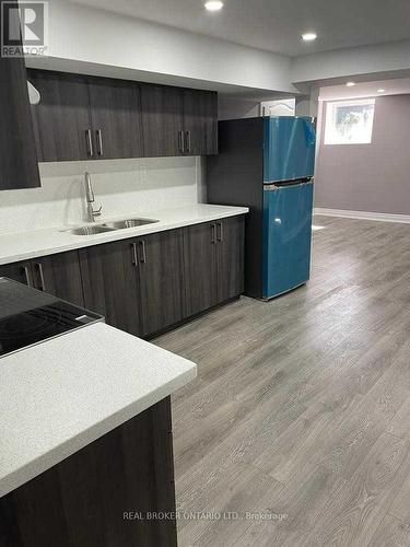 (LOWER LEVEL, BASEMENT) - 320 WILLIAMS AVENUE , Milton, Ontario L9T 2G2 4