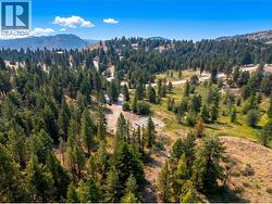 920 Eagle Place Osoyoos, BC V0H 1V6