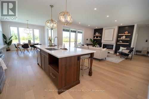 46 Almeara Drive, Otonabee-South Monaghan, ON - Indoor Photo Showing Kitchen With Double Sink