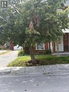 92 CEDAR STREET Belleville (Belleville Ward), ON K8P 3M4