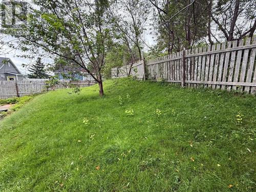 11 Caribou Road, Grand Falls-Windsor, NL - Outdoor