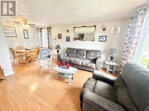 11 Caribou Road, Grand Falls-Windsor, NL - Indoor Photo Showing Living Room