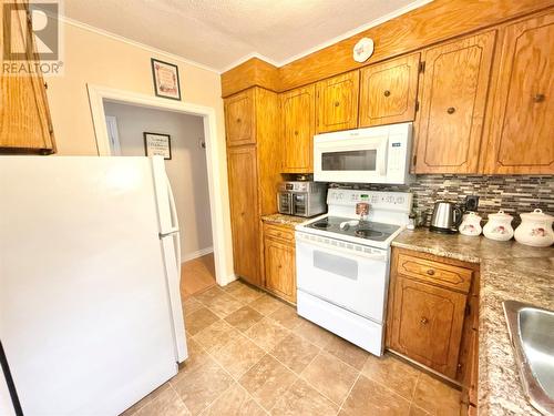 11 Caribou Road, Grand Falls-Windsor, NL - Indoor Photo Showing Kitchen