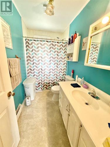 11 Caribou Road, Grand Falls-Windsor, NL - Indoor Photo Showing Bathroom