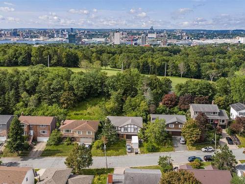 47 Forest Road, Dartmouth, NS - Outdoor With View