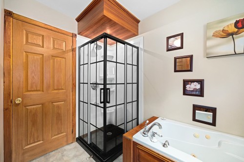Bathroom - 41 Ch. Maccreadie, Otter Lake, QC - Indoor